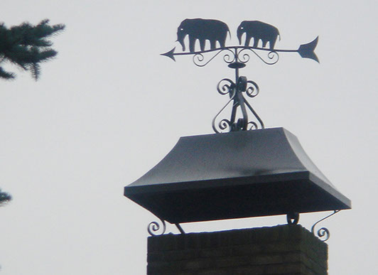 weerbestendige schoorsteenkap met olifant windveer